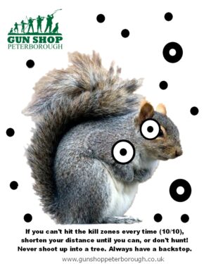 Squirrel Target A4