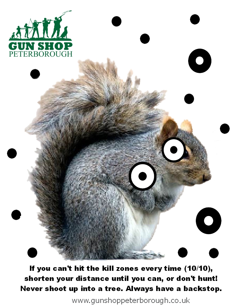 Squirrel Target A4