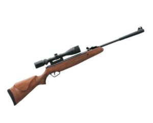 Stoeger X20S S2 .22 Wood Combo with 4x32 Compact Scope