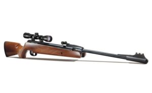 Remington Express Compact .22 Air Rifle Wood Stock, Scope and Mounts