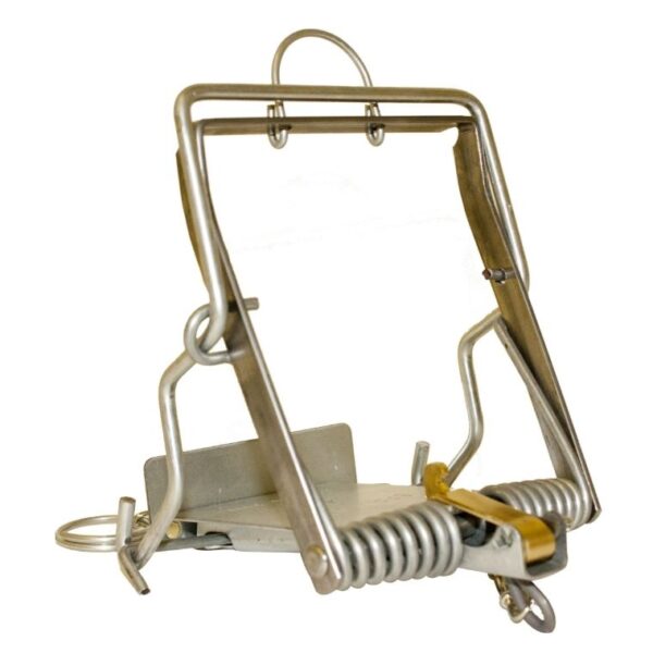 Squirrel Spring Trap Springer Trap Mk 4 Vermin Spring Trap Rat and Grey Squirrel Genuine ...