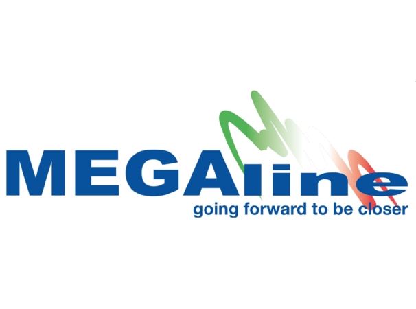 Megaline Shotgun Hard Case Internal 110cm - Image 2