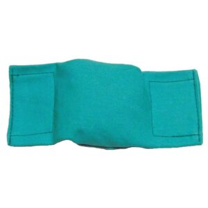 Bisley 1/2lb Puppy Training Beanbag Dummy Green.