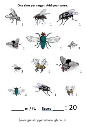 Flies Target