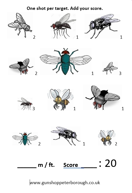 Flies Target