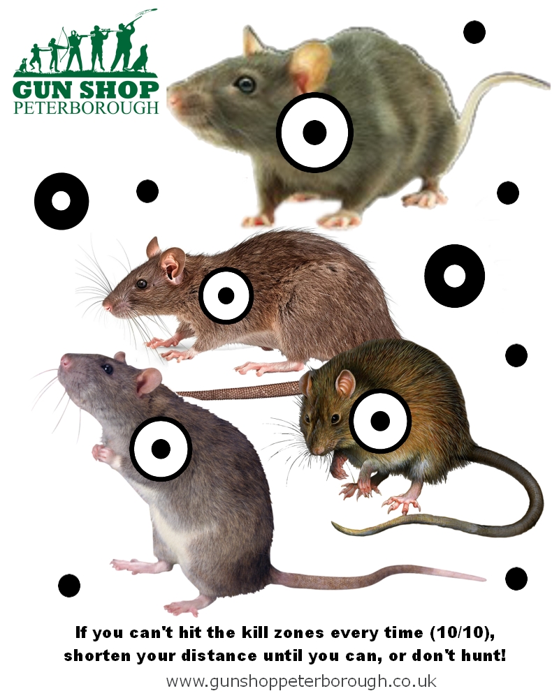 Rat Target A4